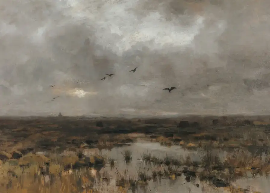 Cloudy Marsh