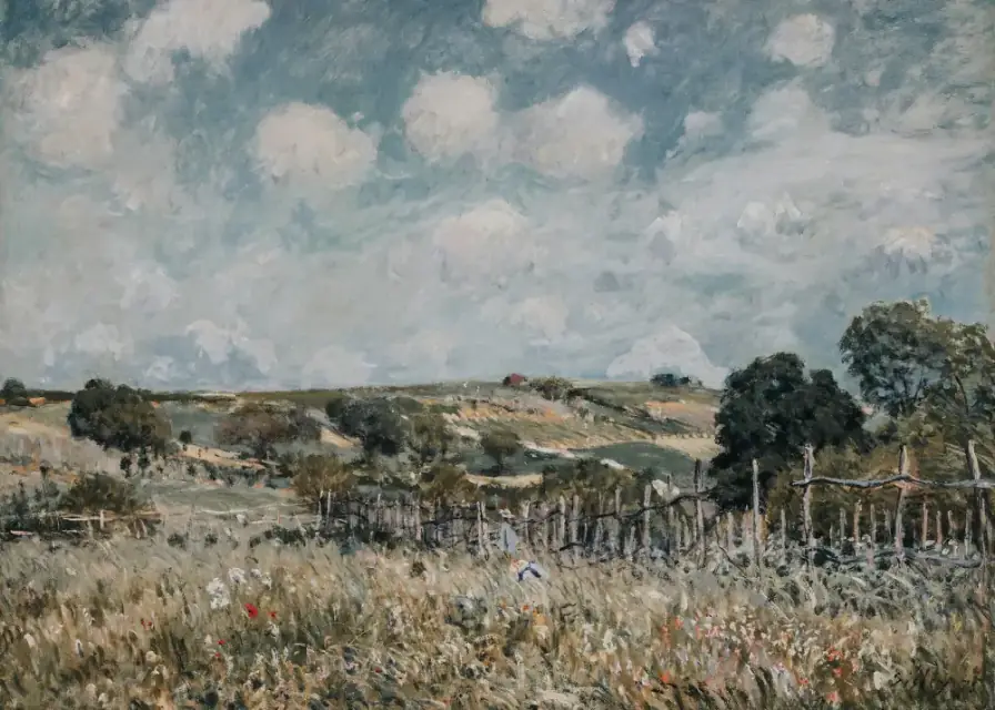 Meadows